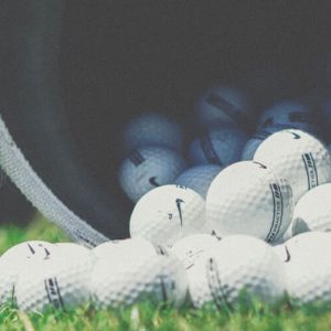 Golf Experience Full Day Gift Play/Lunch With a PGA Professional